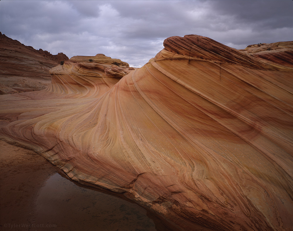 The Second Wave, Coyote Buttes North, Arizona