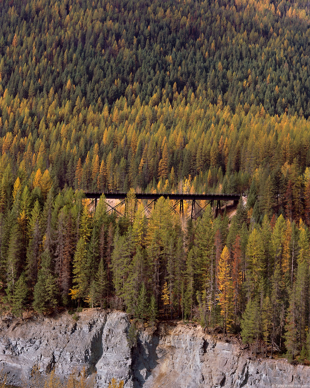Bridge, Snowshed Mountain, Glacier National Park