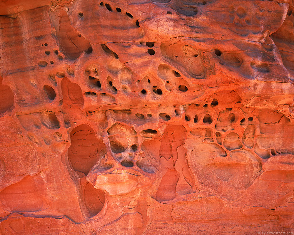 Erosion Detail, Valley of Fire State Park