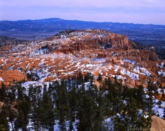 Bristlecone Point, Bryce Canyon NP, Utah [Zoomify]