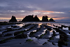 Point of the Arches, Sunset, Olympic National Park
