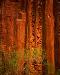Eroded Wall, Taylor Creek Canyon, Zion National Park
