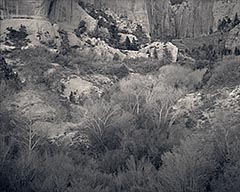 Dusk, Taylor Creek Canyon, Zion National Park